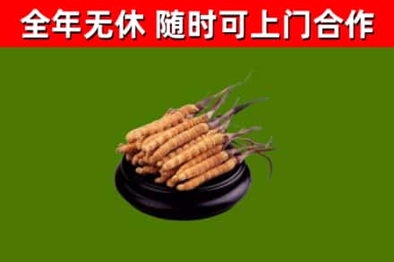 云浮烟酒回收冬虫夏草.jpg